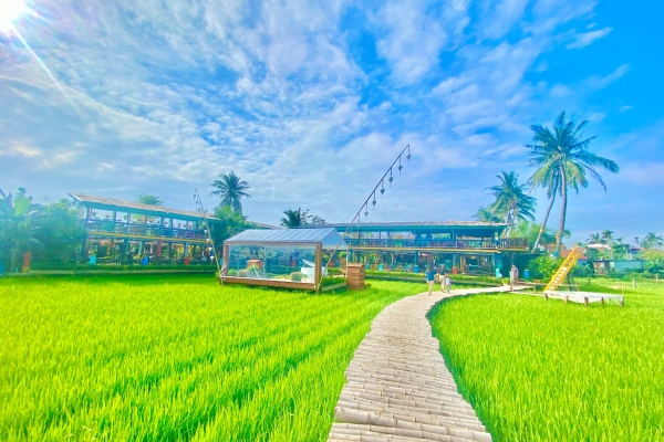 3 cafes with a view of rice fields in Hoi An