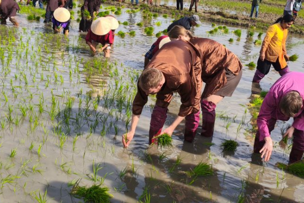 Hội An rộn ràng với lễ hội xuống đồng đầu năm