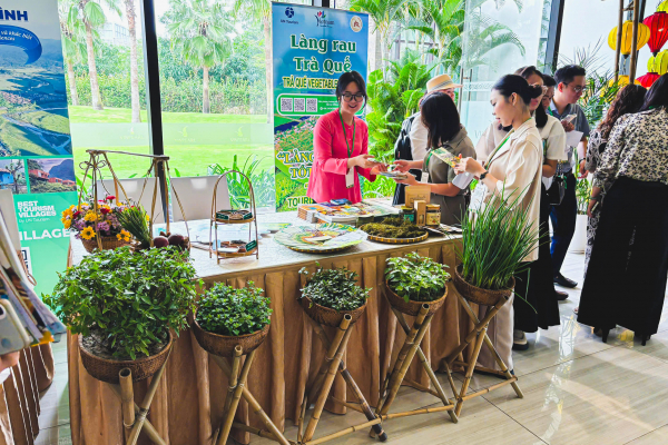 Không gian giới thiệu Làng rau Trà Quế tại Hội nghị quốc tế về Du lịch Nông thôn lần thứ I