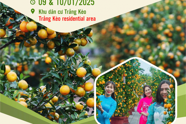 The 9th Cẩm Hà Kumquat Festival 2025