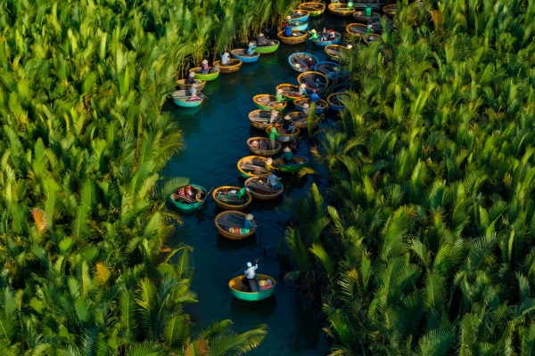 Vẻ đẹp của rừng dừa nước Cẩm Thanh lại được tôn vinh