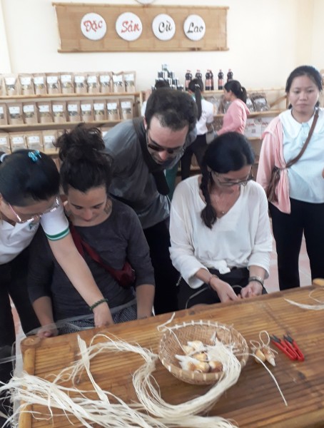 Ngô đồng đỏ và nghề đan võng ở Cù Lao Chàm